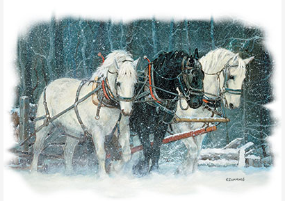 Snowfall Horses Tshirt - TshirtNow.net - 2