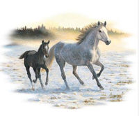 Thumbnail for Sunlit Mist Horse Tshirt - TshirtNow.net - 2