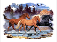 Thumbnail for Running Free 2 Horse Tshirt - TshirtNow.net - 2