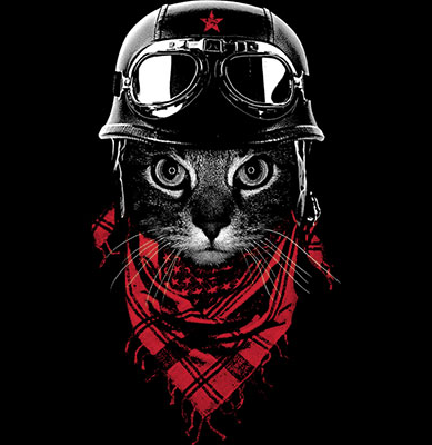Adventurer Cat Tshirt - TshirtNow.net - 2