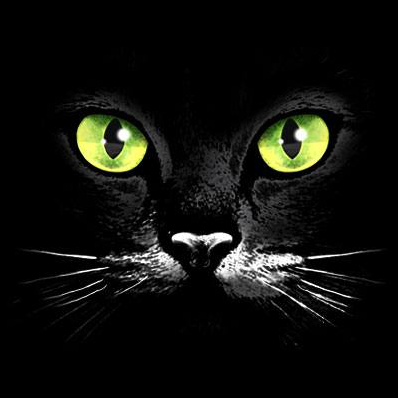 Eyes Black Cat Tshirt - TshirtNow.net - 2