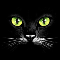 Thumbnail for Eyes Black Cat Tshirt - TshirtNow.net - 2