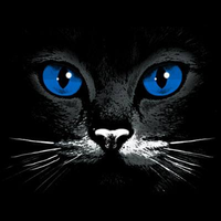 Thumbnail for Blue Eyes Black Cat Tshirt - TshirtNow.net - 2