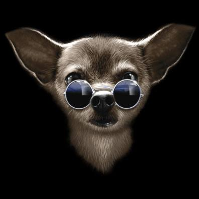 Cool Chihuahua Tshirt - TshirtNow.net - 2