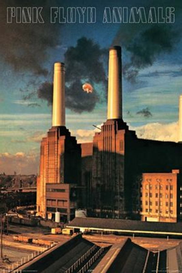 Pink Floyd Animals Poster - TshirtNow.net