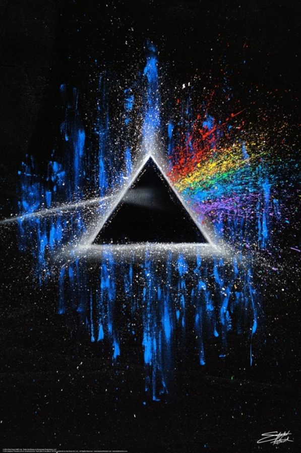 Pink Floyd Dark Side of The Moon by Fishwick Poster - TshirtNow.net