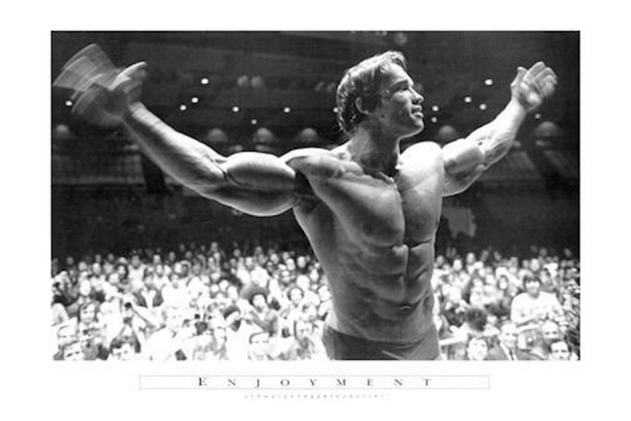 Arnold Schwarzenegger Enjoyment Poster - TshirtNow.net