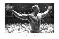 Thumbnail for Arnold Schwarzenegger Enjoyment Poster - TshirtNow.net