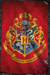 Thumbnail for Harry Potter Hogwarts Flag Poster - TshirtNow.net