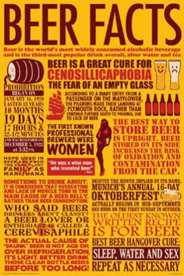 Beer Facts Poster - TshirtNow.net