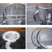 Thumbnail for Heat Resistant Borosilicate Double-Wall Glass Mugs