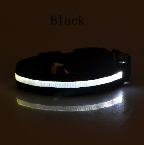 LED GLOW DOG COLLARS