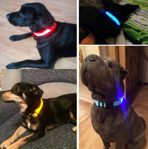 LED GLOW DOG COLLARS