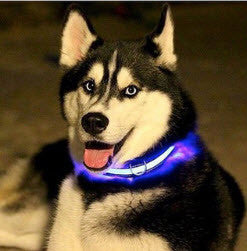 LED GLOW DOG COLLARS