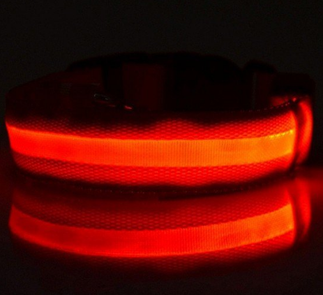 LED GLOW DOG COLLARS