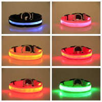 Thumbnail for LED GLOW DOG COLLARS