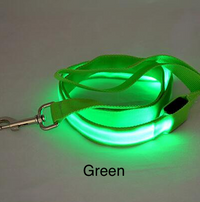 Thumbnail for Nylon Led Dog Leash Night Safety Light - 6 Colors 47 Inches Long